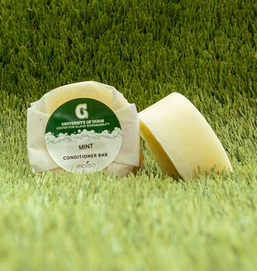 Conditioner Bar (Mint)