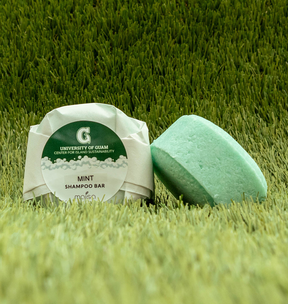 Shampoo Bar (Mint)