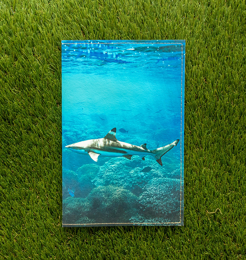 Journal (Shark)