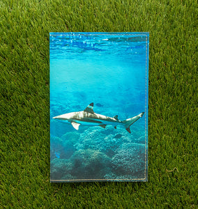 Journal (Shark)