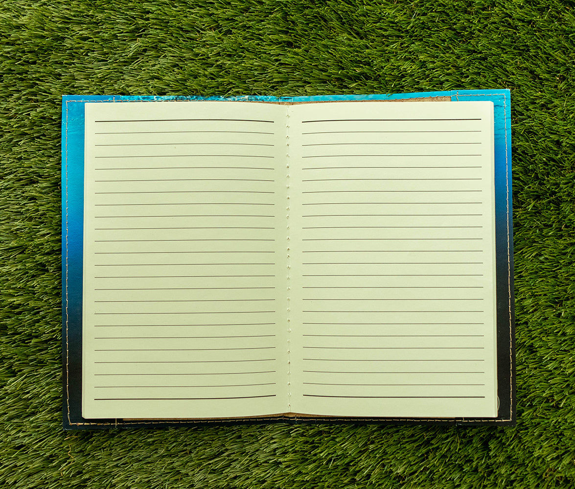 Journal (Turtle)