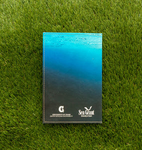 Journal (Turtle)